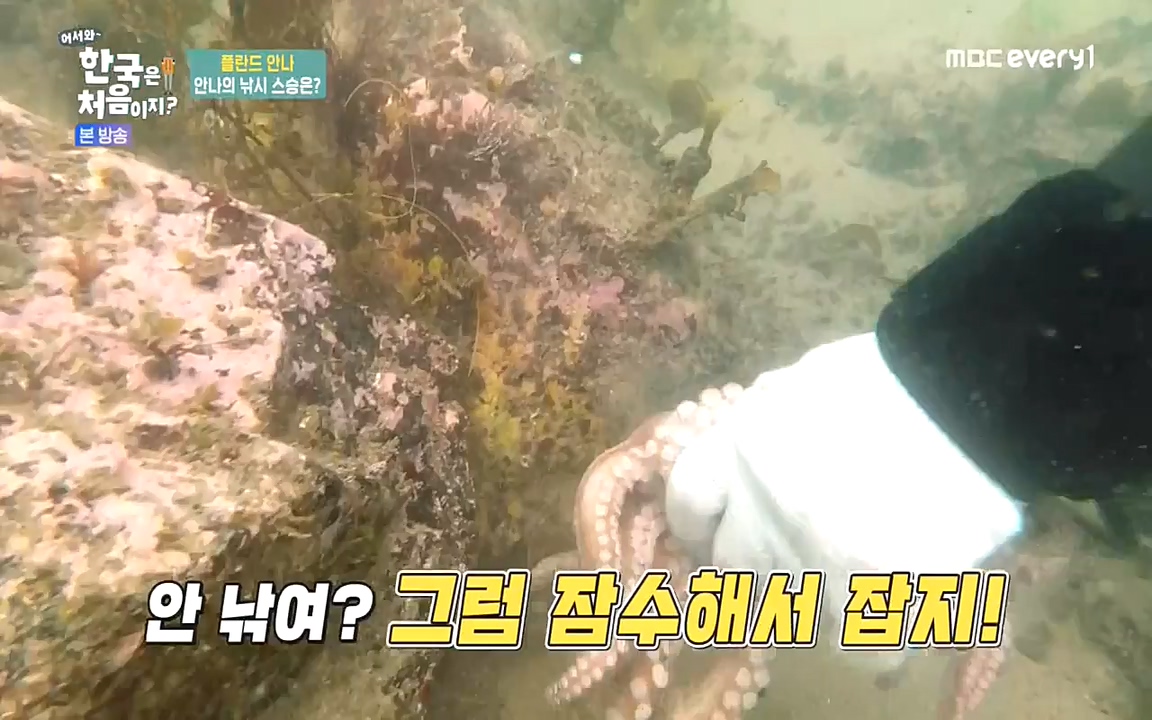 어서와 한국은 처음이지 시즌2.E216.220624p-NEXT.mp4_20220624_203630.559.jpg