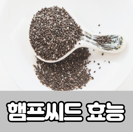 햄프씨드 효능