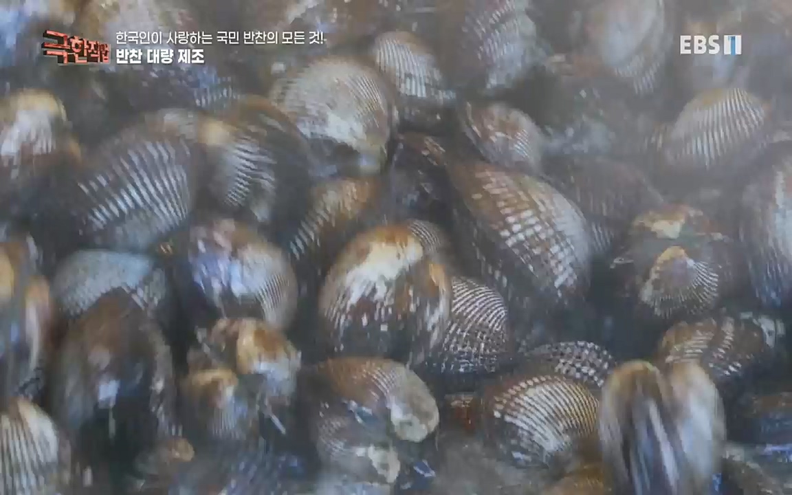 TV - 교육의 중심 EBS한국인이 사랑하는 국민 반찬의 모든 것!.mp4_20220925_171754.006.jpg