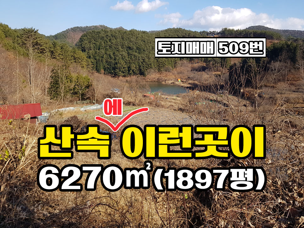  경남고성부동산 분위기 좋고 오염 되지 않은 깨끗한 골짜기안 토지매매
