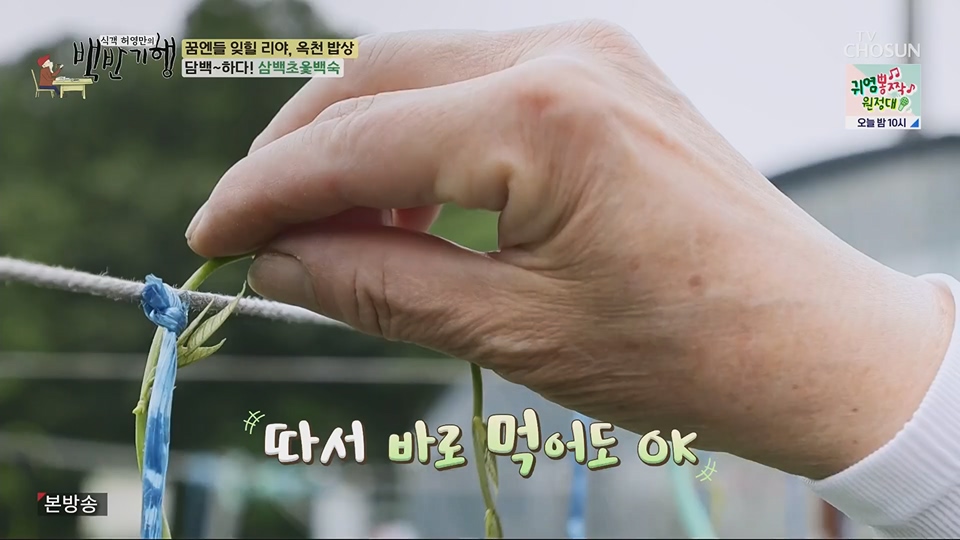 식객 허영만의 백반기행.E205.230630p.H264-F1RST.mp4_20230701_174959.305.jpg