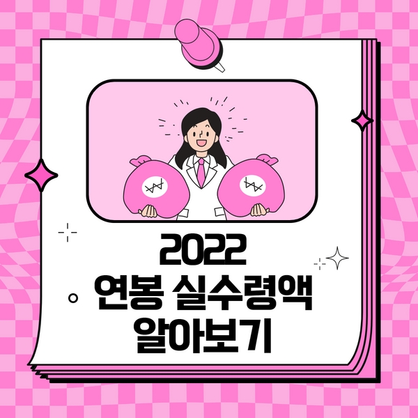  2022 연봉 실수령액 | 2022 연봉 계산기 (ft. 연봉별 예상 실수령액)