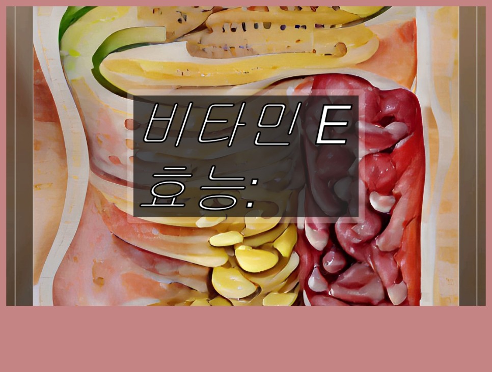비타민e가 비타민 E 1
