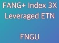  FNGU ETF 종목
