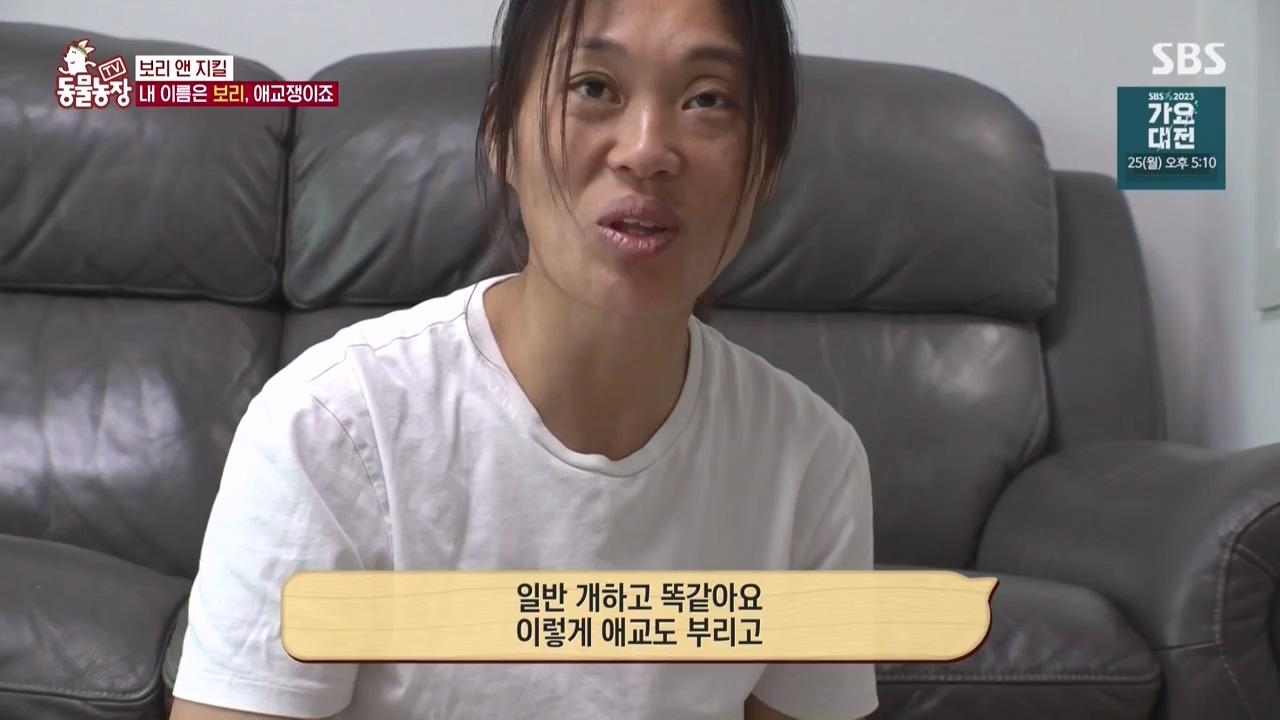 TV 동물농장.E1150.231218p-NEXT.mp4_20231217_171341.387.jpg