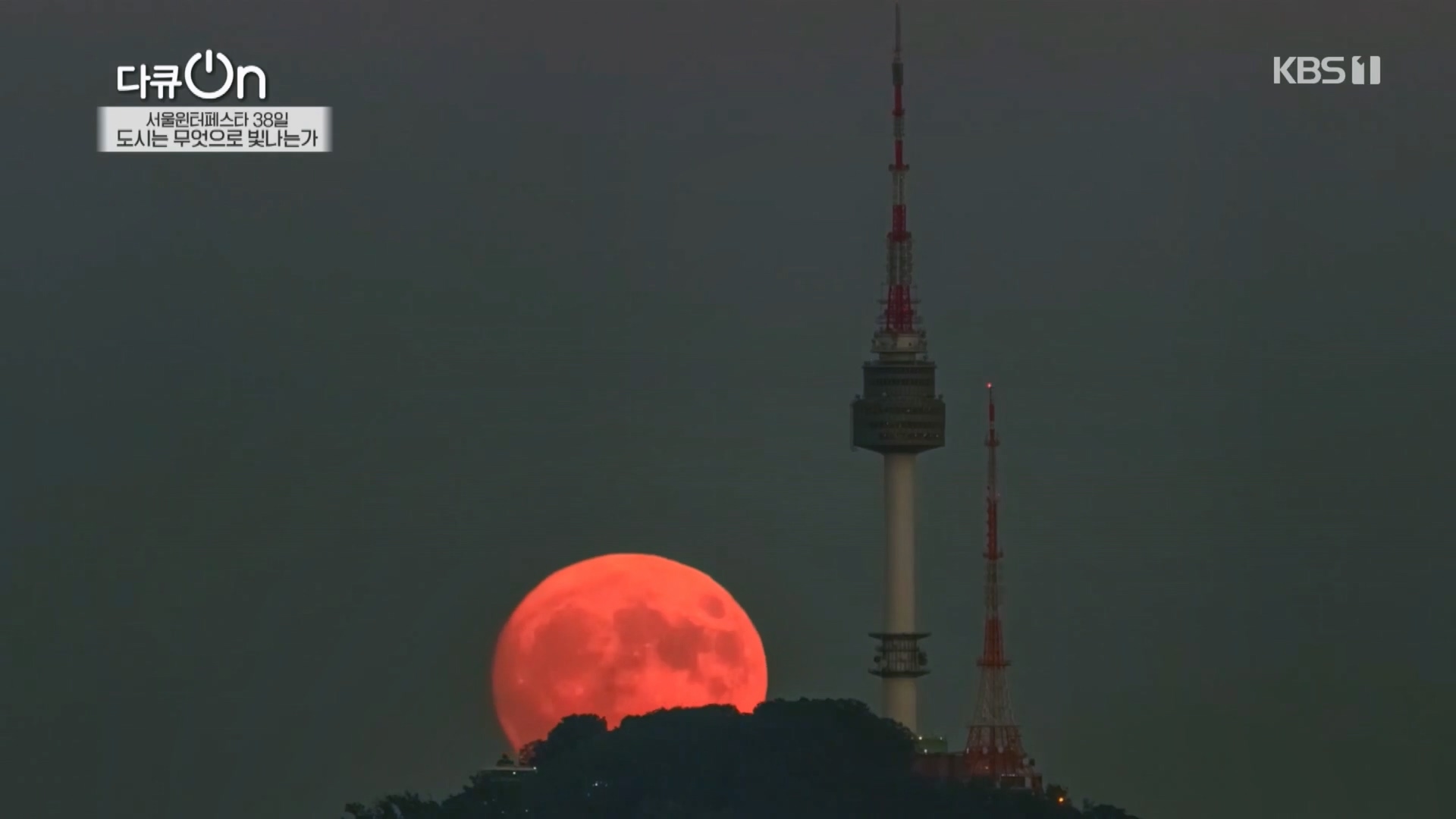 다큐 On.E239.240217p.H264-F1RST.mp4_20240218_170942.190.jpg