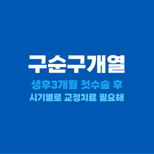 구순구개열 시기별 교정치료