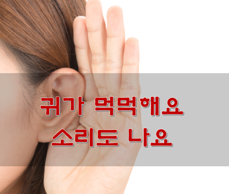  한쪽 귀 먹먹 울림 원인