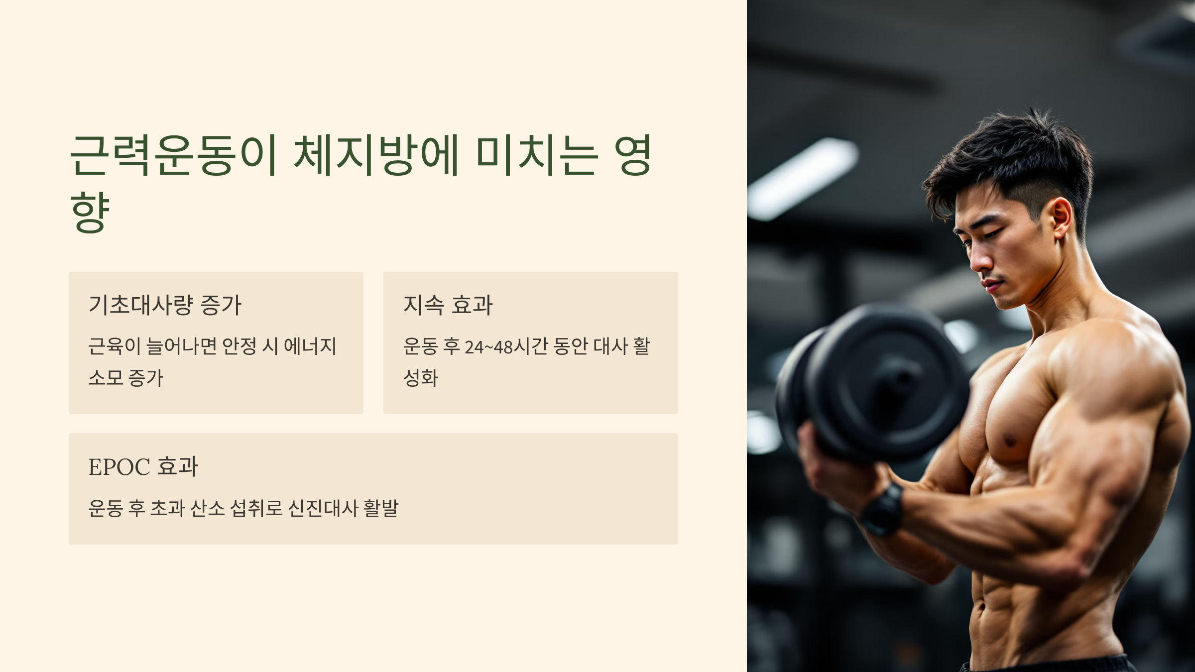 근력운동이 체지방에 미치는 영향