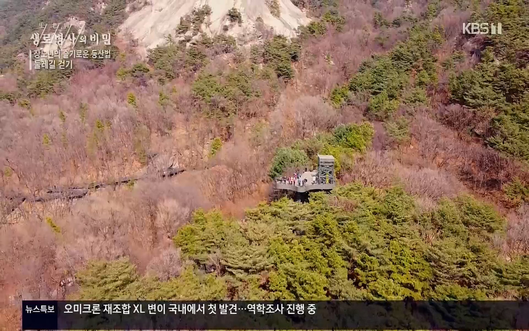 생로병사의 비밀.E816.220413p.H264-F1RST.mp4_20220414_192715.391.jpg