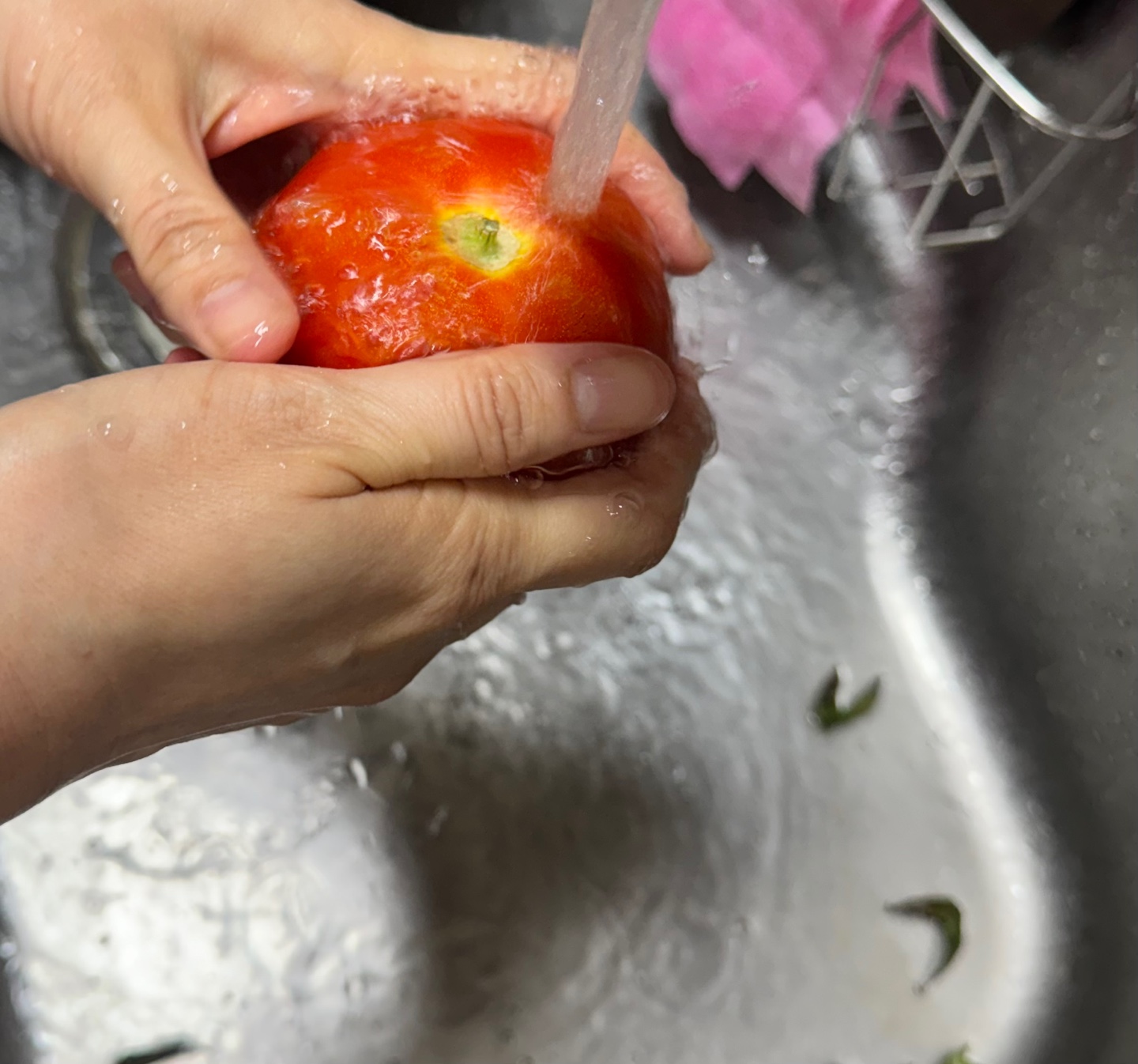 여름 제철 토마토 효능과 보관하는 방법