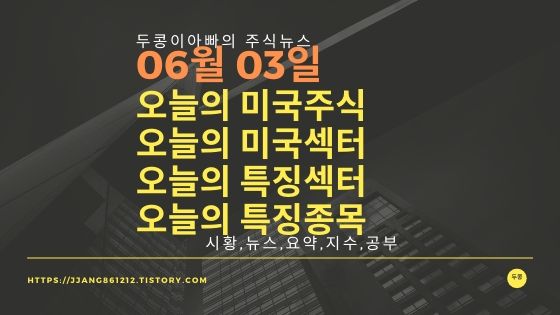  20년 06월 03일 미국증시,특징섹터,특징종목,미국섹터