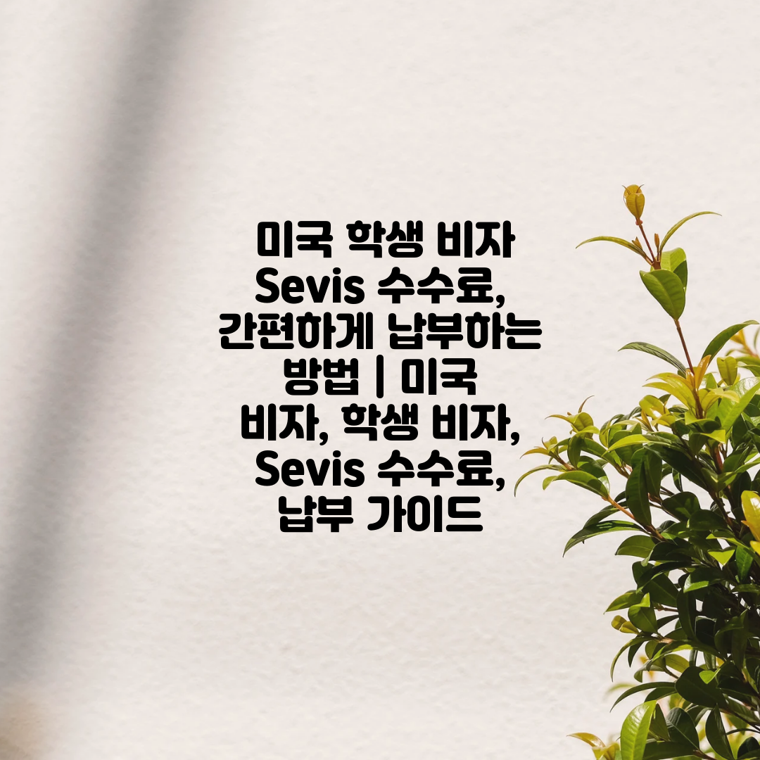  미국 학생 비자 Sevis 수수료, 간편하게 납부하는