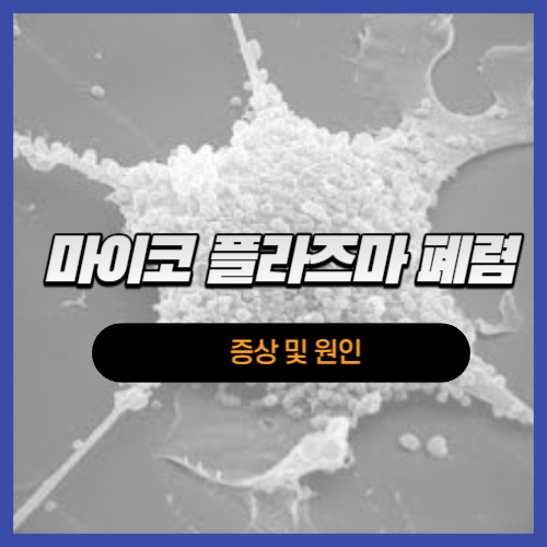 마이코플라즈마 폐렴 증상 및 원인