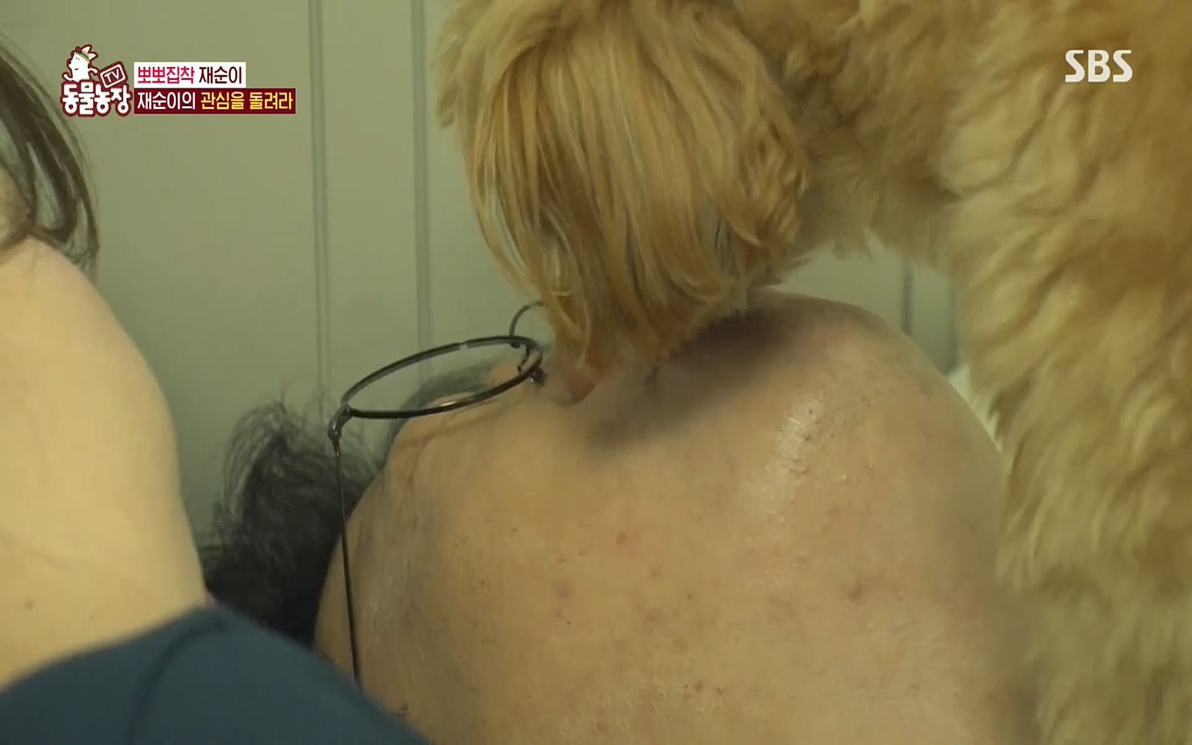 TV 동물농장.E1078.220717p.H264-F1RST.mp4_20220717_151140.373.jpg