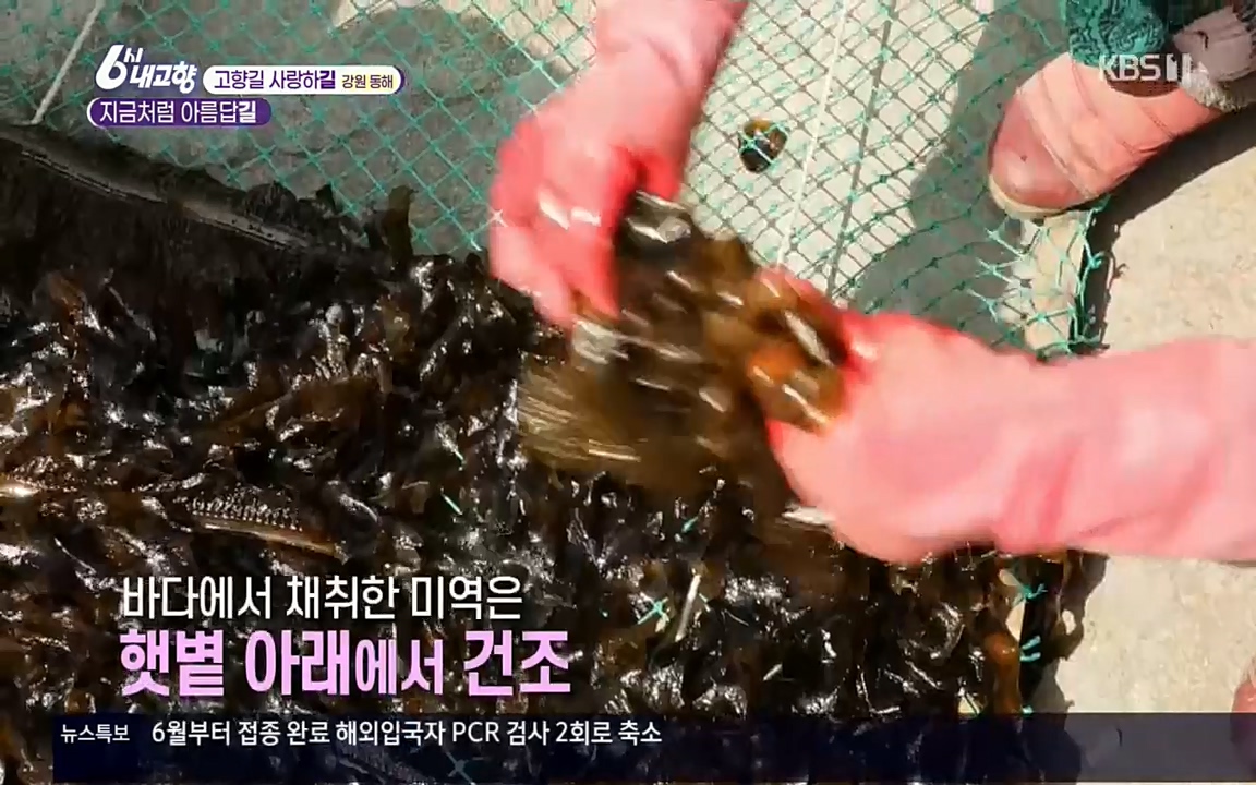 6시 내고향.E7512.220416p.H264-F1RST.mp4_20220502_192011.474.jpg