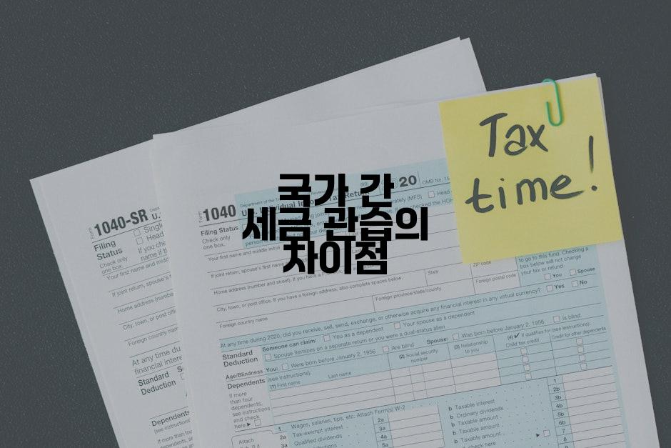 국가 간 세금 관습의 차이점