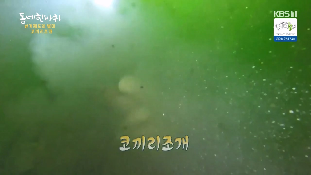 동네 한 바퀴.E273.240512p-NEXT.mp4_20240512_170032.623.jpg