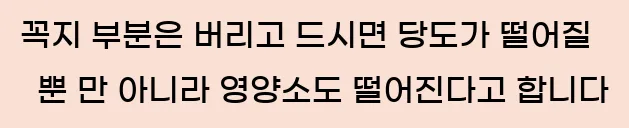  꼭지 부분은 버리고 드시면 당도가 떨어질 뿐 만 아니라 영양소도 떨어진다고 합니다