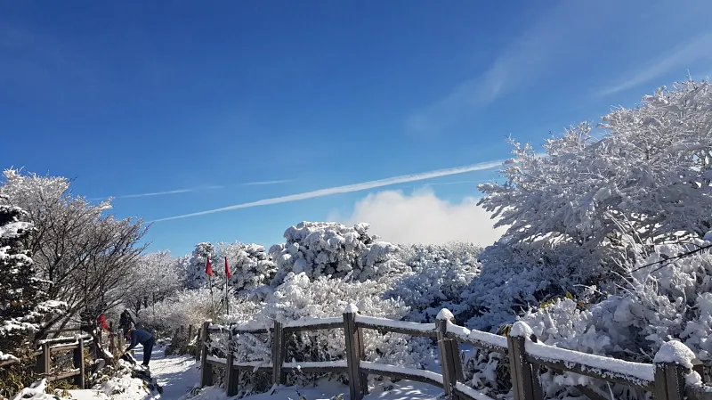 제주 한라산 설경 겨울왕국
