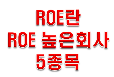  ROE 란 ROE 높은회사 5종목!!! PART.1