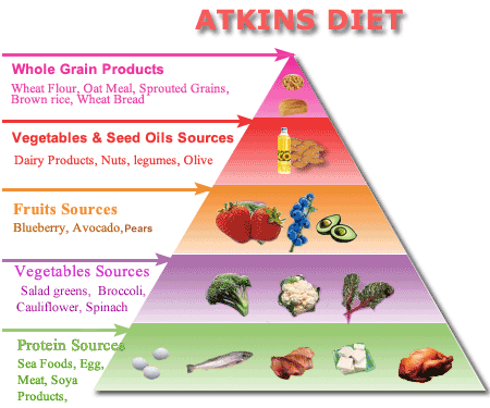 ATKINS DIET