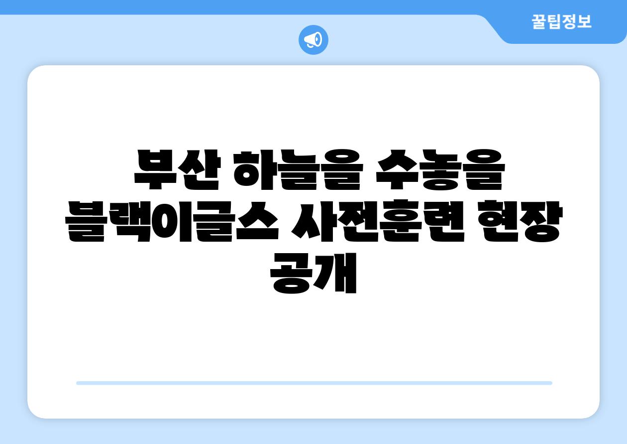  부산 하늘을 수놓을 블랙이글스 사전훈련 현장 공개