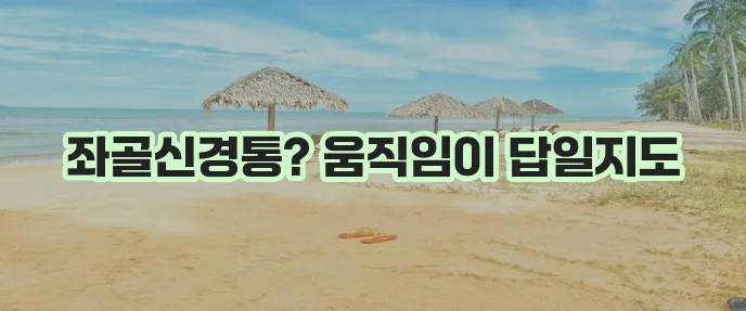 좌골신경통 완화에 좋은 운동 꼭 관리하세요!