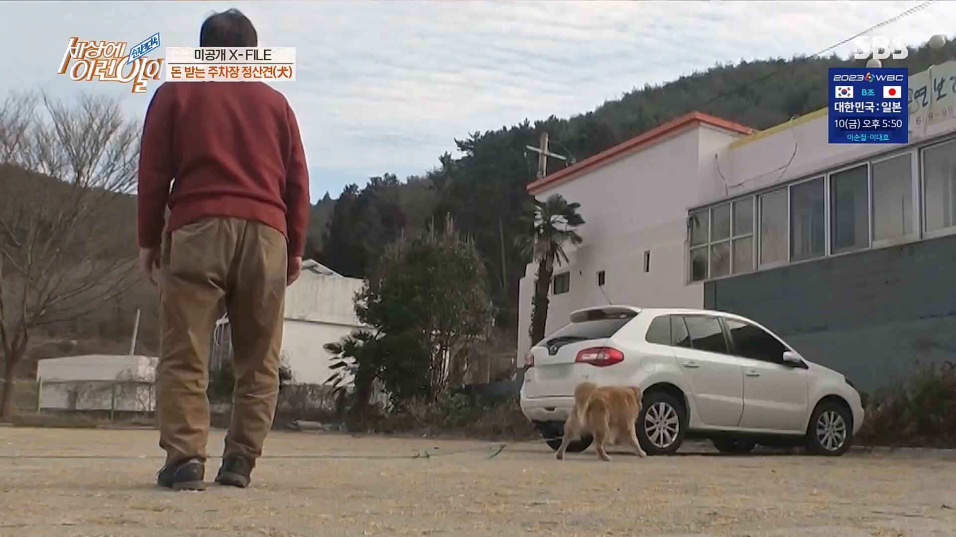 순간포착 세상에 이런일이.E1220.230307p.H264-F1RST.mp4_20230308_193451.047.jpg