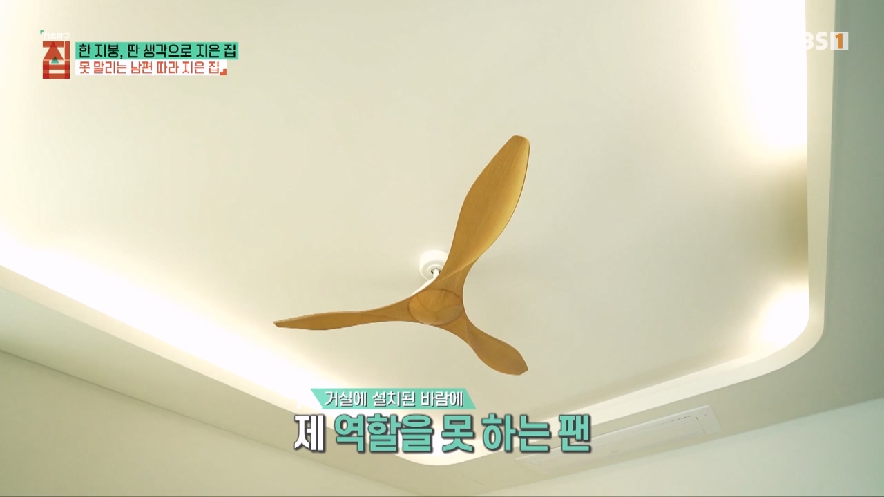 TV - 전 국민의 평생학교 EBS한 지붕, 딴 생각으로 지은 집.mp4_20231226_204002.525.jpg