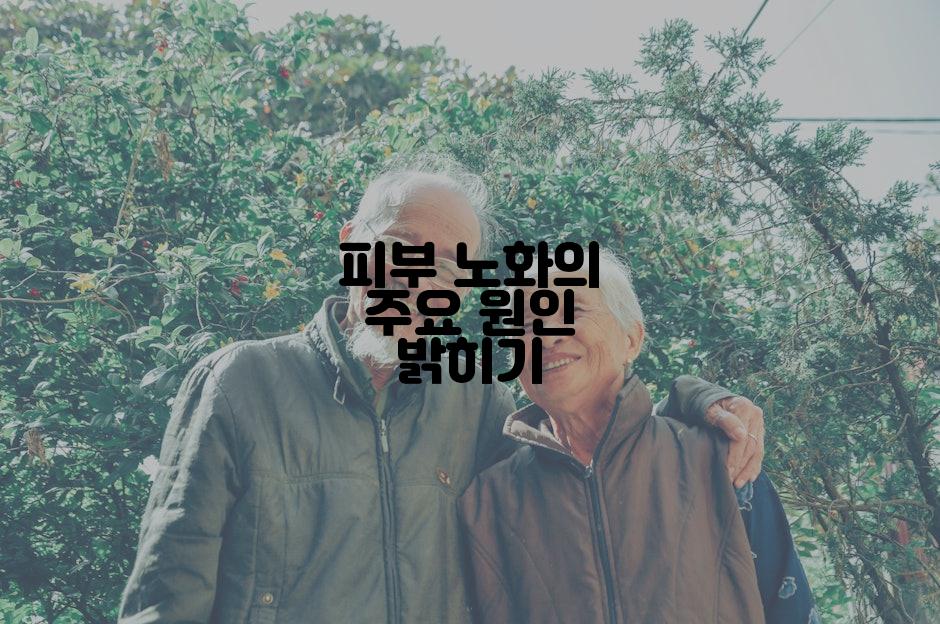 피부 노화의 주요 원인 밝히기