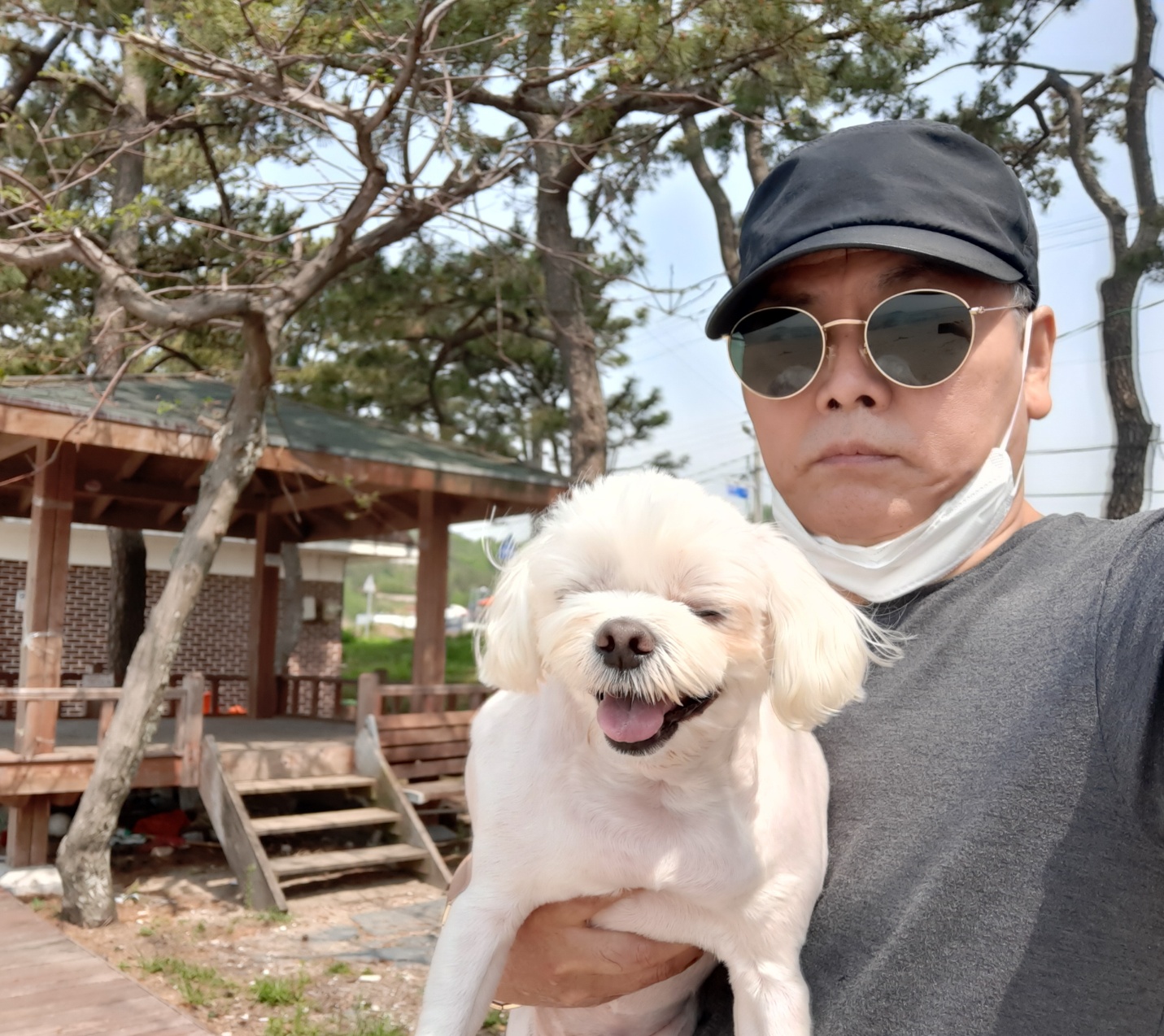 뭉치 이미지
