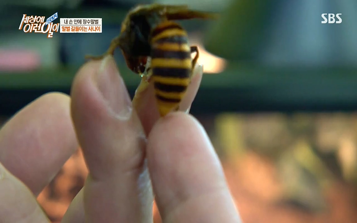 순간포착 세상에 이런일이.E1180.220518p-NEXT.mp4_20220518_181617.479.jpg