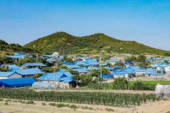 도초도 배시간표 신안 배편 요금 예매_10