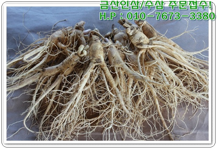 금산인삼직판장 이미지