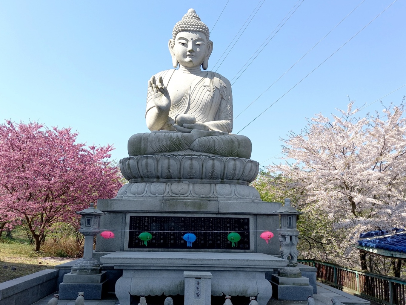 img.jpg