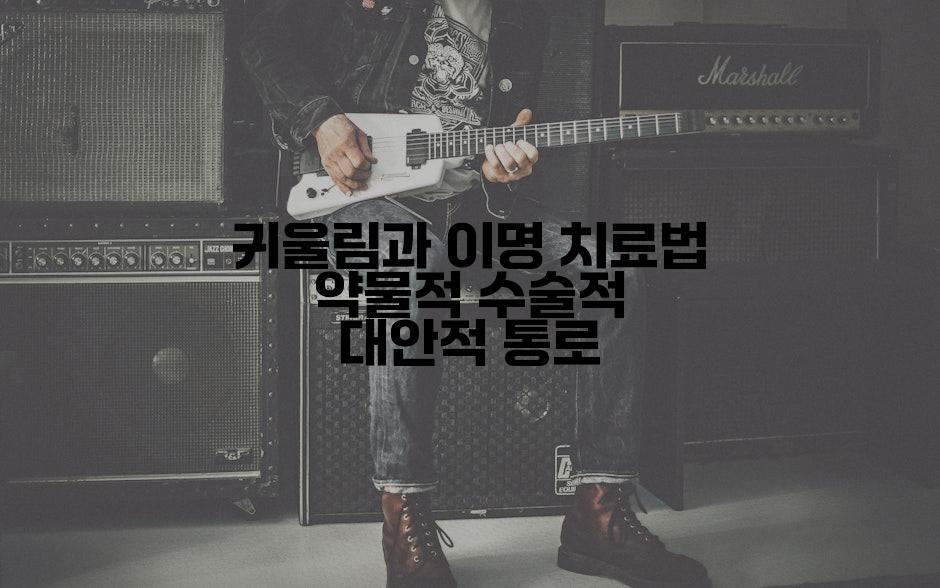 귀울림과 이명 치료법 약물적 수술적 대안적 통로