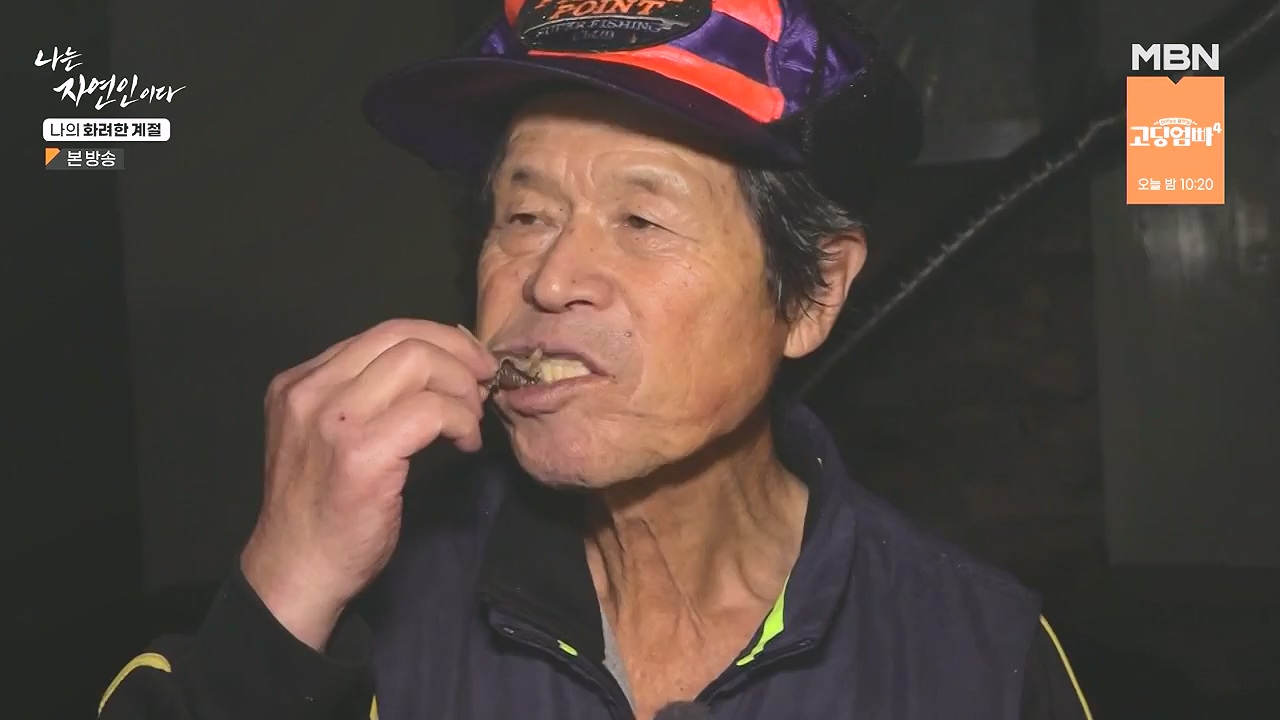 나는 자연인이다.E587.240104p-NEXT.mp4_20240104_195913.654.jpg