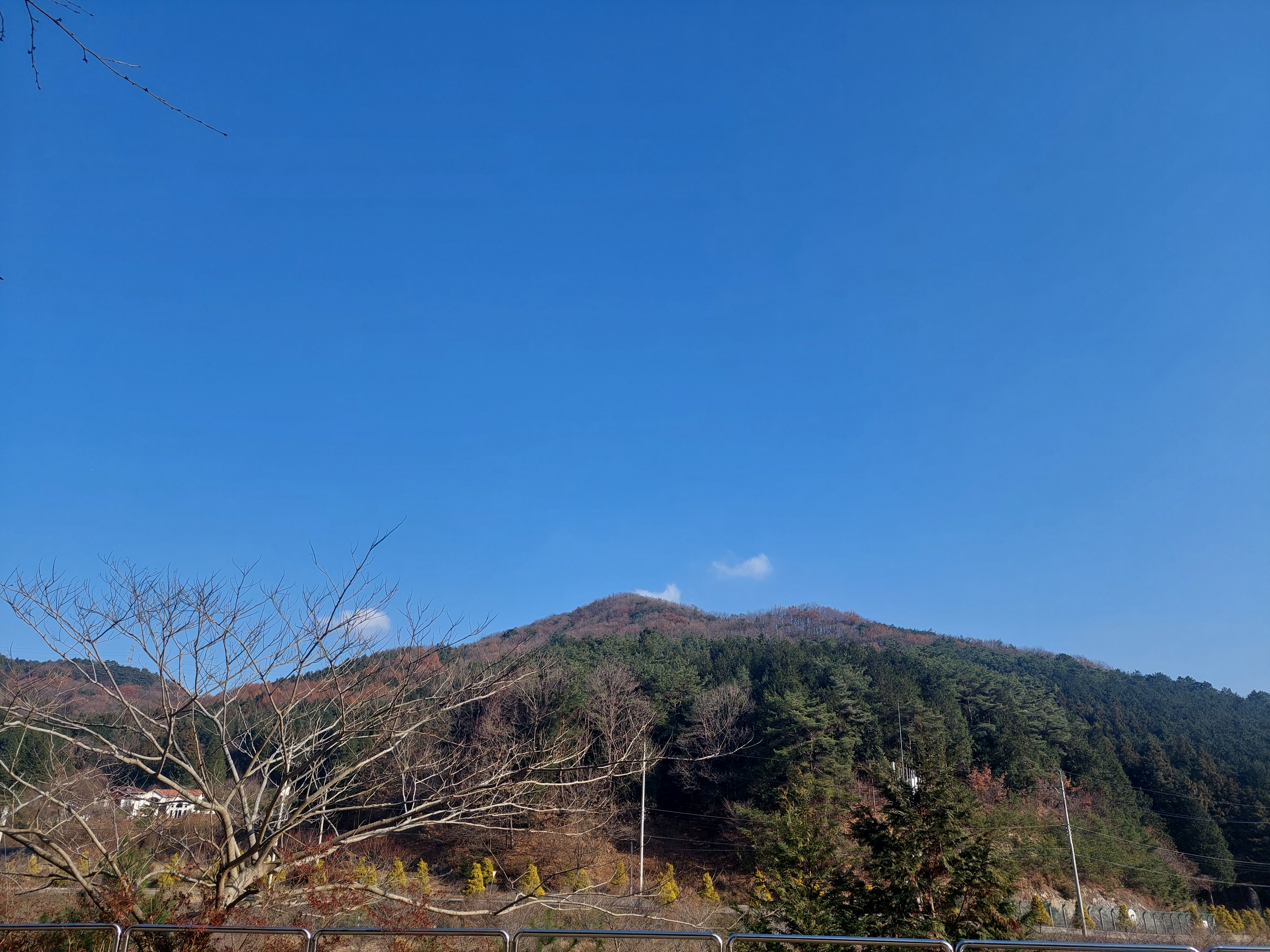 축령산