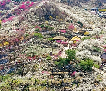 바이낸스-여권-계정-청산-시-환불-방법