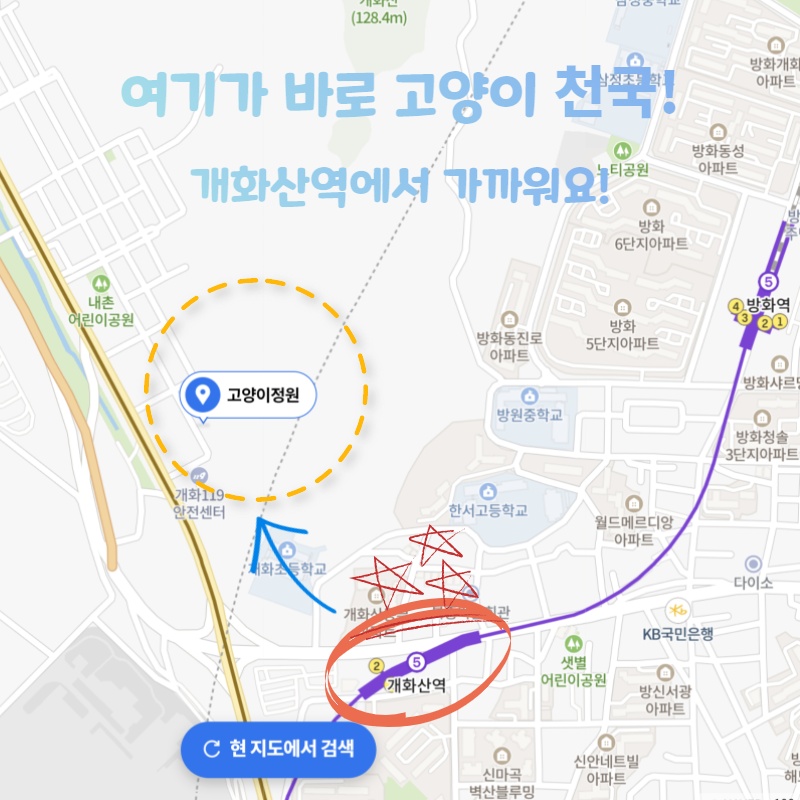  여기가 바로 어디~? 고양이들이 무척 많이 산다는 바로 이곳! 고양이 정원!