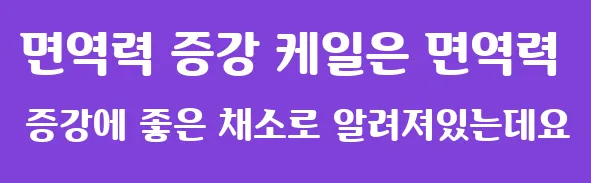 면역력 증강 케일은 면역력 증강에 좋은 채소로 알려져있는데요