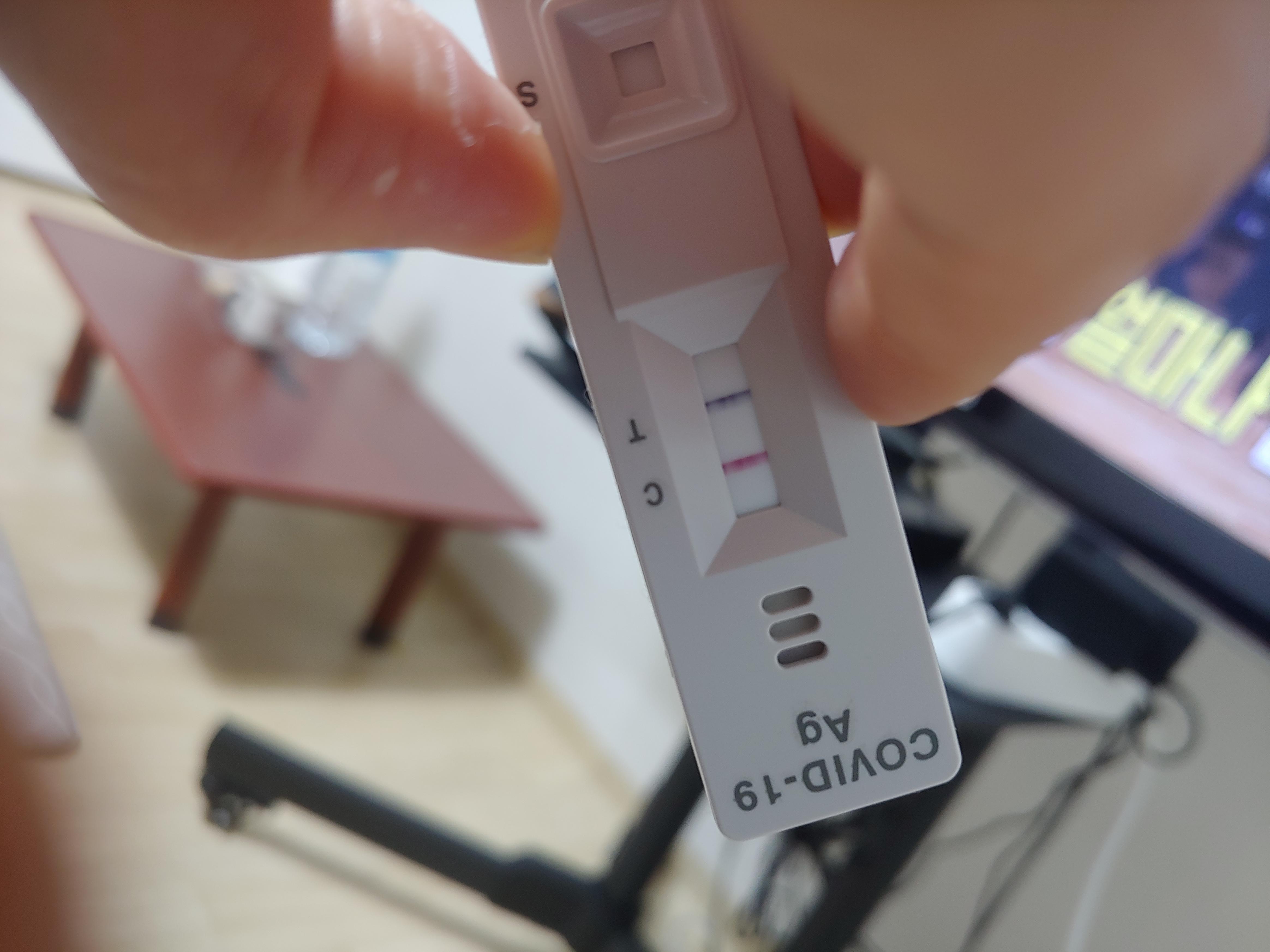  코로나 신속항원검사 양성 pcr검사