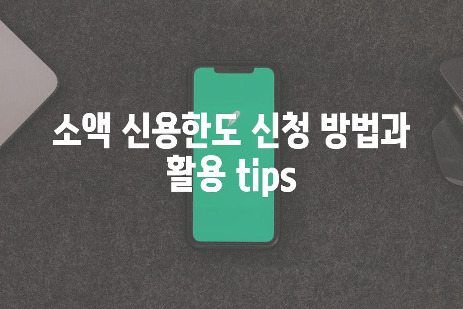 소액 신용한도 신청 방법과 활용 tips
