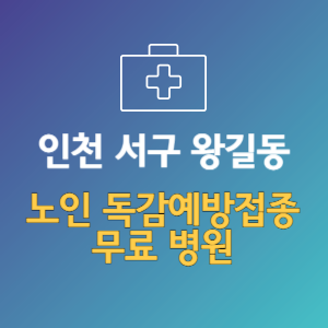 인천 서구 왕길동 노인 독감예방접종 무료 병원 (인플루엔자 무료 접종 대상 날짜)