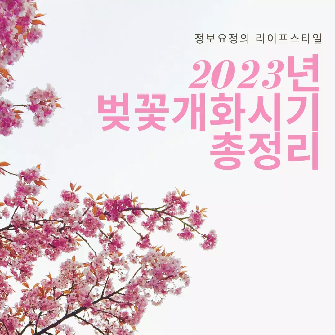 2023-벚꽃-개화-시기