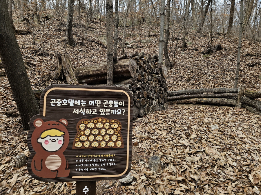2026년 2월 아이