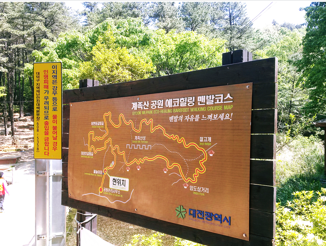  계족산 황토길 걷다보면 몸에 좋을듯해요