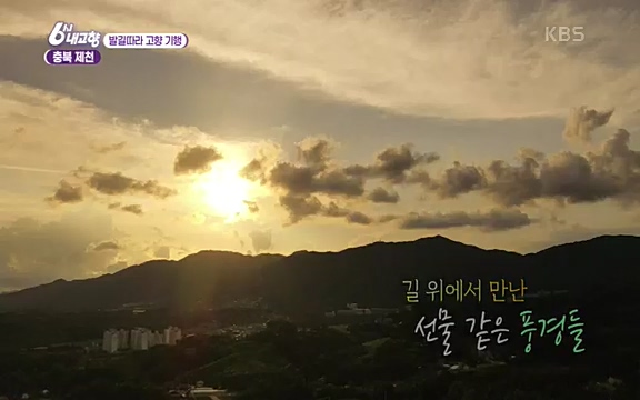 [7612회] 6시 내고향 - KBS7612회] 6시 내고향.ts_20220912_173849.809.jpg