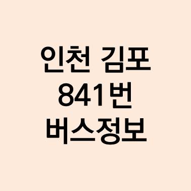 인천 김포 841번 버스